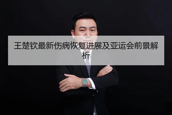 王楚钦最新伤病恢复进展及亚运会前景解析